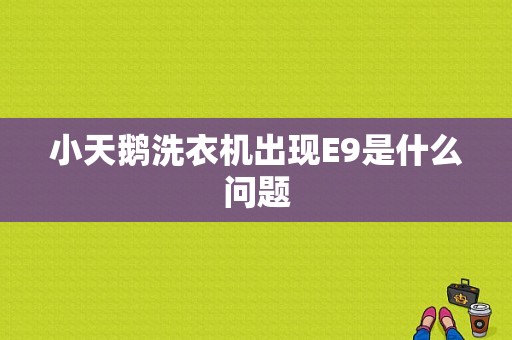 小天鹅洗衣机出现E9是什么问题